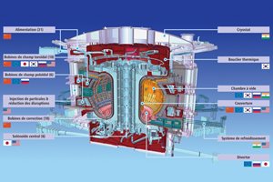 ITER Members are involved broadly in the in-kind procurement for ITER, sharing responsibility for the fabrication of components and systems. Participating in ITER also means reinforcing the scientific, technological and industrial base in fusion back at home. (Note: not all components and contributions could be reproduced here.)